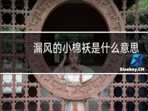 漏风的小棉袄是什么意思，指的是男还是说女什么梗