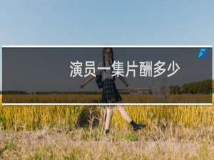 演员一集片酬多少