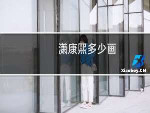 潇康熙多少画