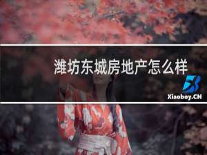 潍坊东城房地产怎么样