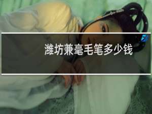 潍坊兼毫毛笔多少钱
