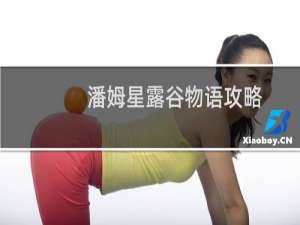 潘姆星露谷物语攻略