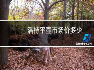 潘持平壶市场价多少