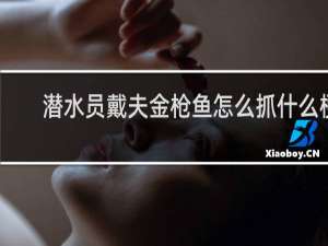 潜水员戴夫金枪鱼怎么抓什么梗