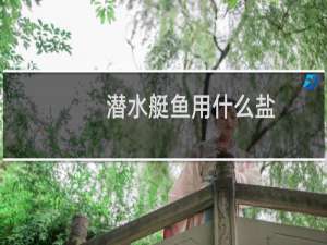 潜水艇鱼用什么盐