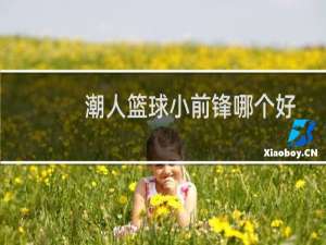 潮人篮球小前锋哪个好