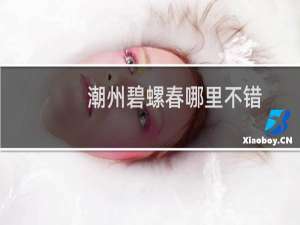 潮州碧螺春哪里不错