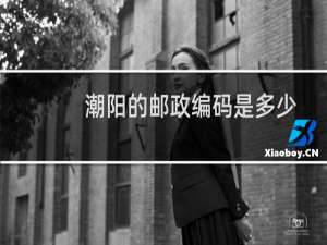 潮阳的邮政编码是多少