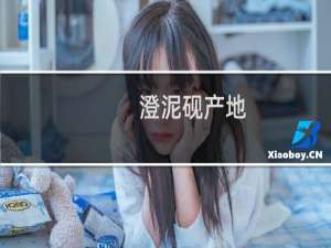 澄泥砚产地