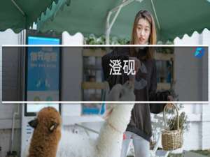 澄砚