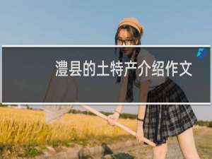 澧县的土特产介绍作文