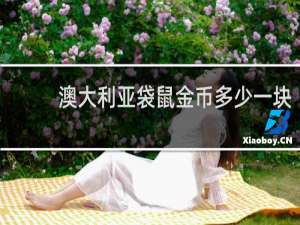 澳大利亚袋鼠金币多少一块