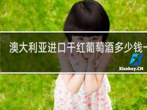 澳大利亚进口干红葡萄酒多少钱一瓶