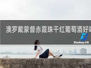 澳罗戴蒙督赤霞珠干红葡萄酒好喝吗