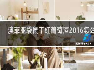 澳菲亚袋鼠干红葡萄酒2016怎么样