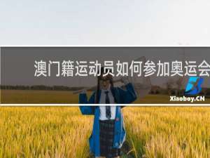 澳门籍运动员如何参加奥运会