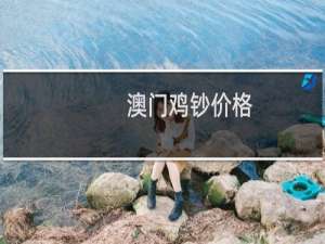 澳门鸡钞价格