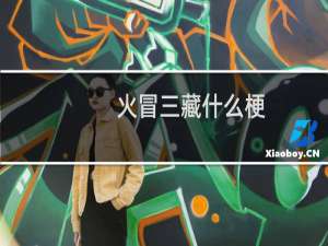 火冒三藏什么梗