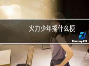 火力少年摇什么梗