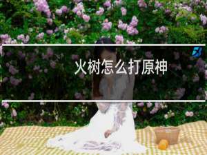 火树怎么打原神