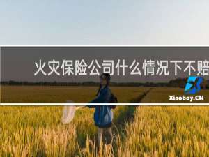 火灾保险公司什么情况下不赔