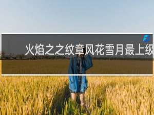 火焰之之纹章风花雪月最上级