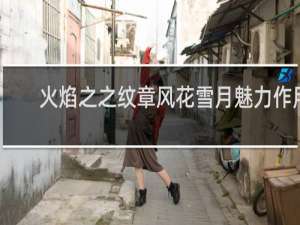 火焰之之纹章风花雪月魅力作用