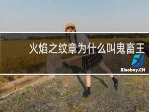 火焰之纹章为什么叫鬼畜王