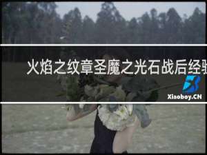 火焰之纹章圣魔之光石战后经验