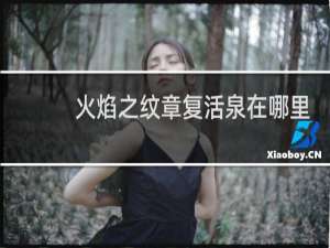 火焰之纹章复活泉在哪里