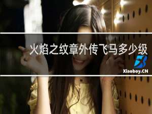 火焰之纹章外传飞马多少级