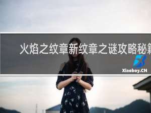 火焰之纹章新纹章之谜攻略秘籍