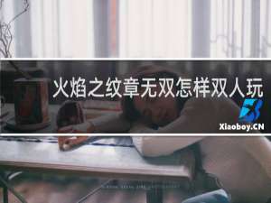 火焰之纹章无双怎样双人玩