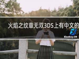火焰之纹章无双3DS上有中文的吗