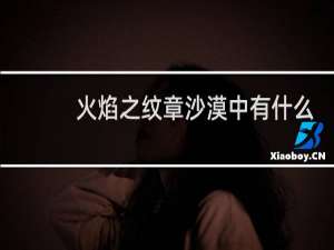 火焰之纹章沙漠中有什么