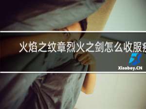 火焰之纹章烈火之剑怎么收服疾