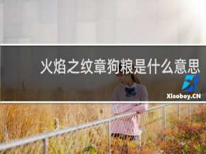 火焰之纹章狗粮是什么意思