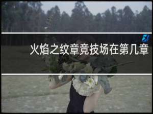 火焰之纹章竞技场在第几章