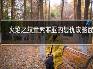 火焰之纹章索菲亚的复仇攻略武器