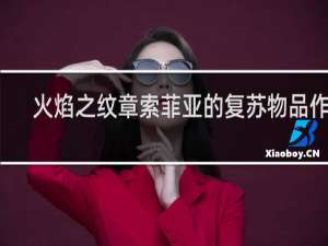 火焰之纹章索菲亚的复苏物品作用
