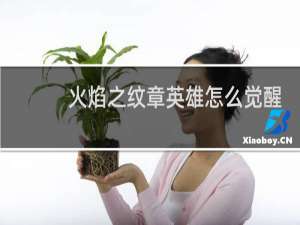 火焰之纹章英雄怎么觉醒