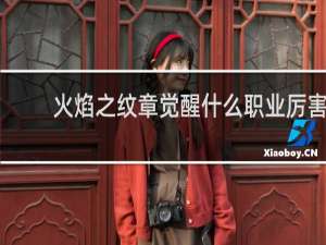 火焰之纹章觉醒什么职业厉害