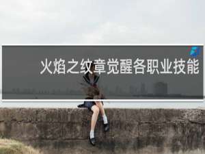 火焰之纹章觉醒各职业技能