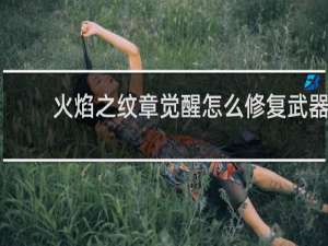 火焰之纹章觉醒怎么修复武器
