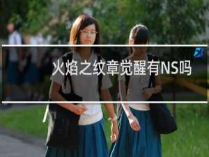火焰之纹章觉醒有NS吗