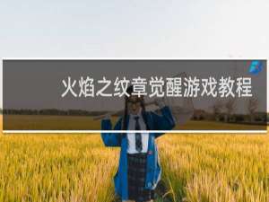 火焰之纹章觉醒游戏教程