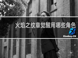 火焰之纹章觉醒用哪些角色