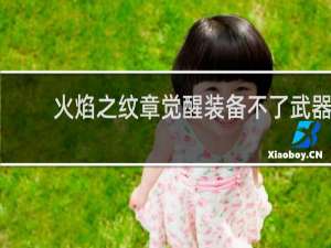 火焰之纹章觉醒装备不了武器