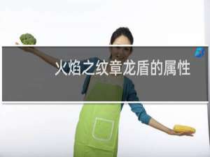 火焰之纹章龙盾的属性