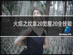 火焰之纹章 觉醒 全技能